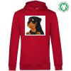 Hooded Sweat Thumbnail